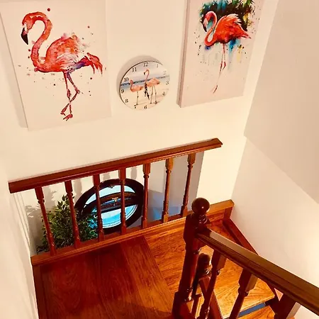 Апартаменты Alfaraz *